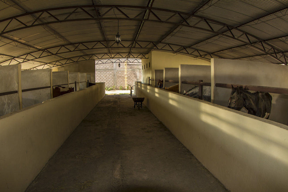 Hotel Teoticamp San Juan Teotihuacán Esterno foto